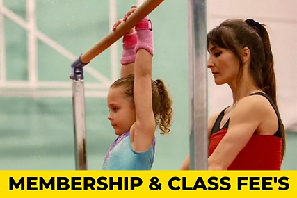 swangymnastics.co.uk (13).png