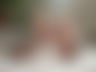 Are Two Sphynx Kittens Better Than One for Your Home