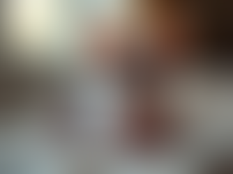 10 Compelling Reasons to Consider Sphynx Cats as Your Next Pet