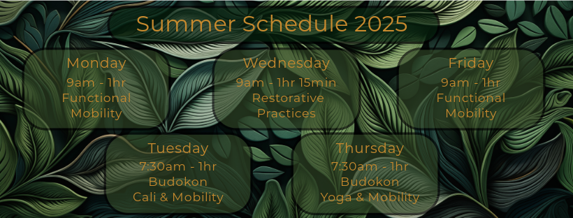 Summer Schedule 2025.png