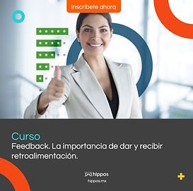 PORTADA FEEDBACK CURSO.jpg