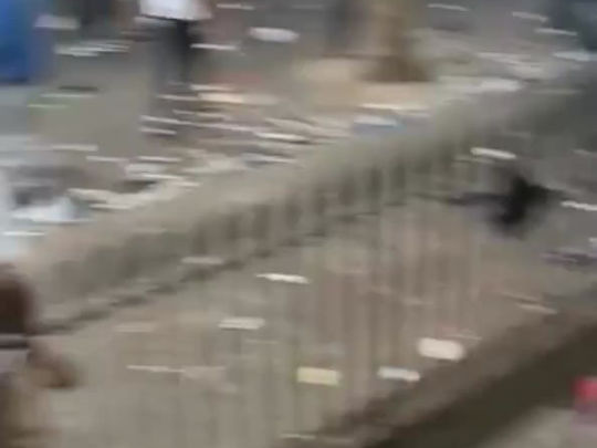 WATCH VIDEO: Moment innocent teen is glassed and beaten during brawl at Notting Hill Carnival