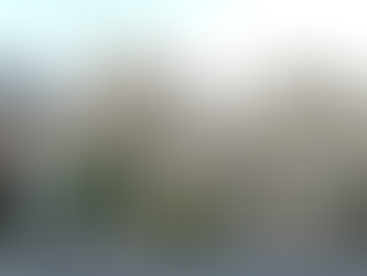 EPSOM GANG RAPE: Police find 'no evidence of offence as reported' or of 'asylum seeker involvement' but investigation continues