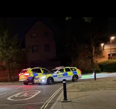 EXCLUSIVE: Four men charged after 'aggravated burglary involving firearm' in Rotherithe south London