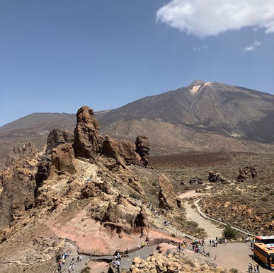 Panic in the Canary Islands after foreign invaders threaten 500-year-old industry