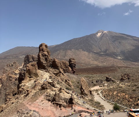 Panic in the Canary Islands after foreign invaders threaten 500-year-old industry