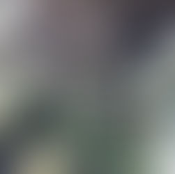 Twenty six police officers injured at Tommy Robinson Uniting the Kingdom event as pockets of violence broke out