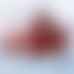 EXCLUSIVE: Woodford School in 'lockdown' after emergency incident declared