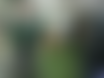 Watch paedophile football referee Gareth Viccars as he is arrested at work - police appeal for more victims to come forward