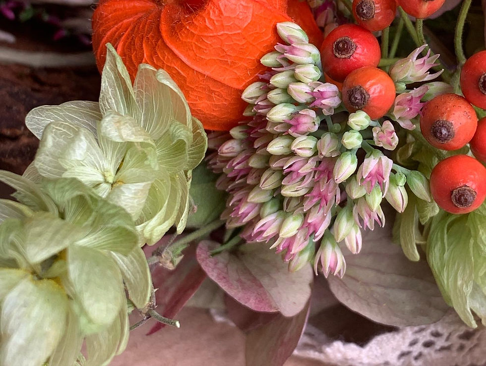 Miniaturbild: Herbststräusschen auf Kieferrinde