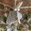 Miniaturbild: Stoffhuhn im Osterkranz