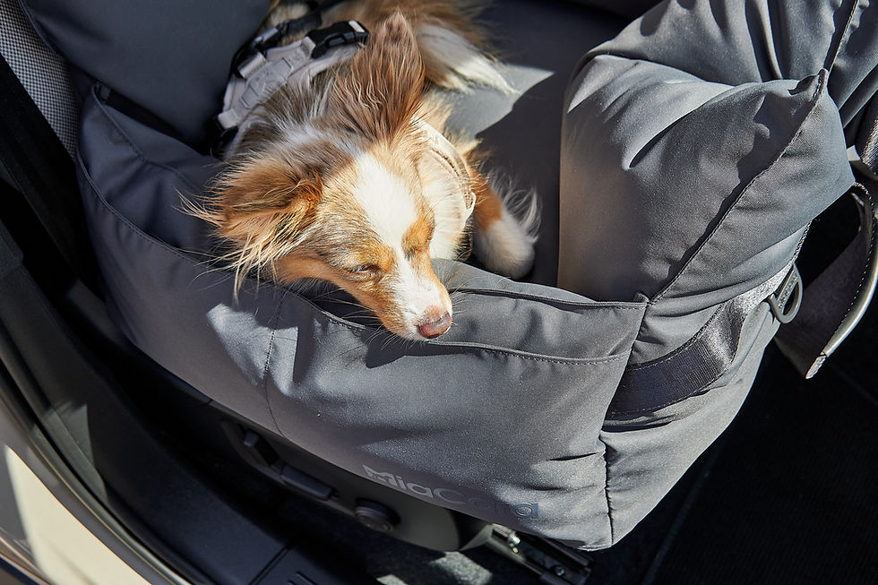 サムネイル： MiaCara /Viaggio Travel Bed