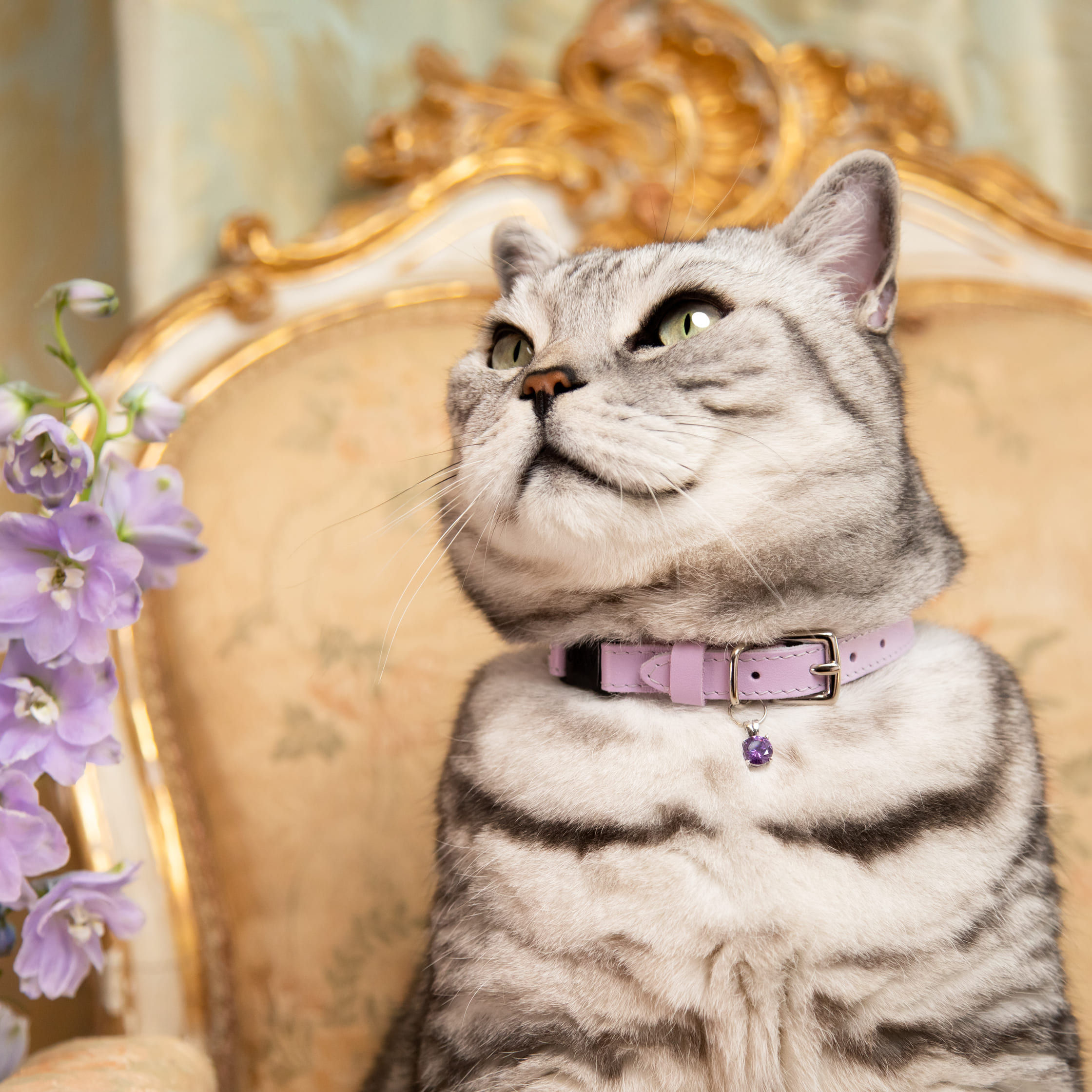 Cat Collar /Rococo  - Lilac