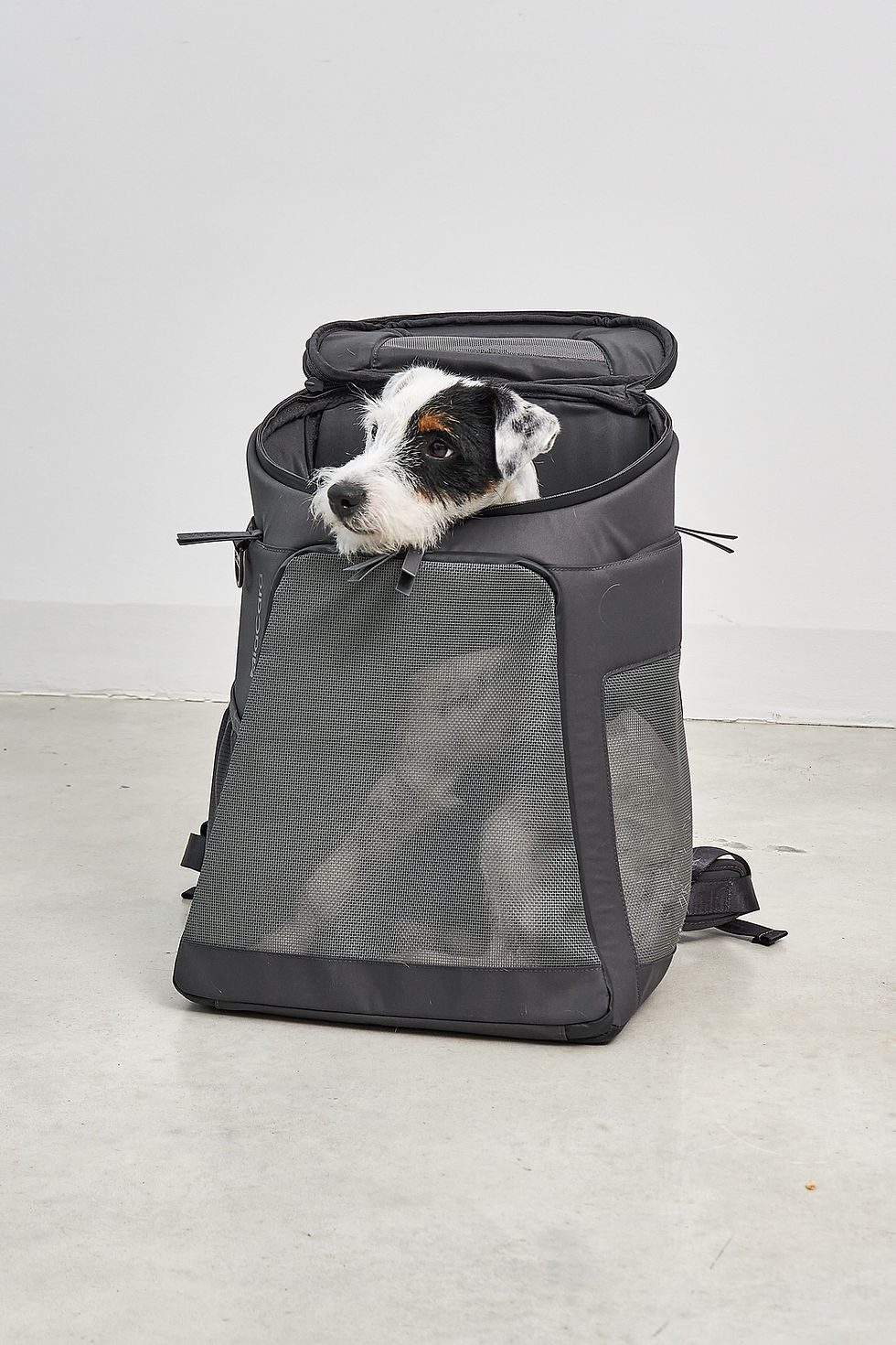 サムネイル： MiaCara / Zaino ( Dog&Cat Backpack)