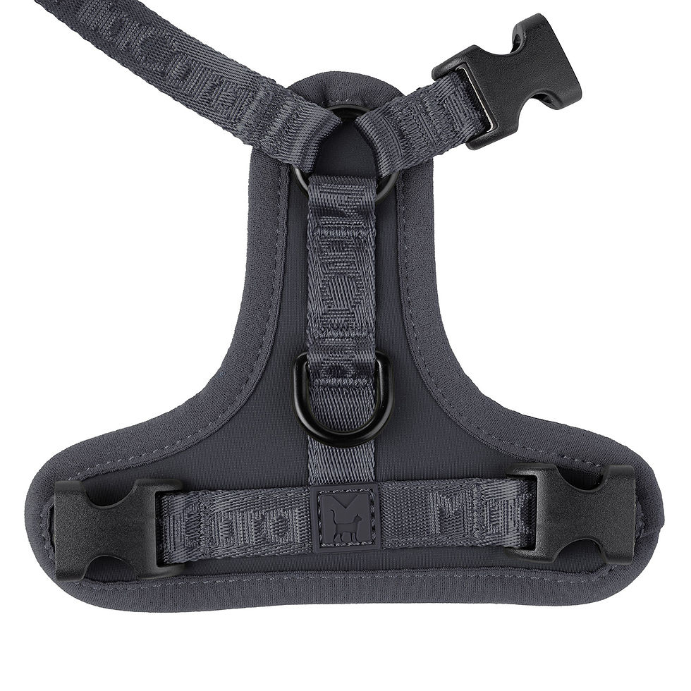 サムネイル： MiaCara / Modena-Cat Harness