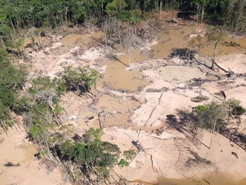 Observatório do Mercúrio: plataforma reúne estudos e informações sobre garimpo na Pan-Amazônia 