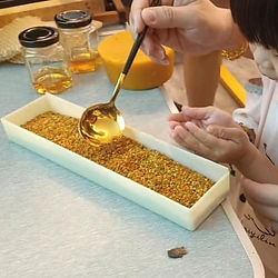 刮出蜂巢裡的蜜