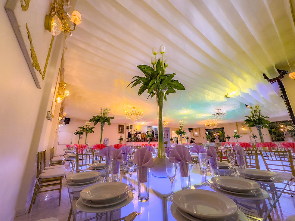 Salón 250 personas