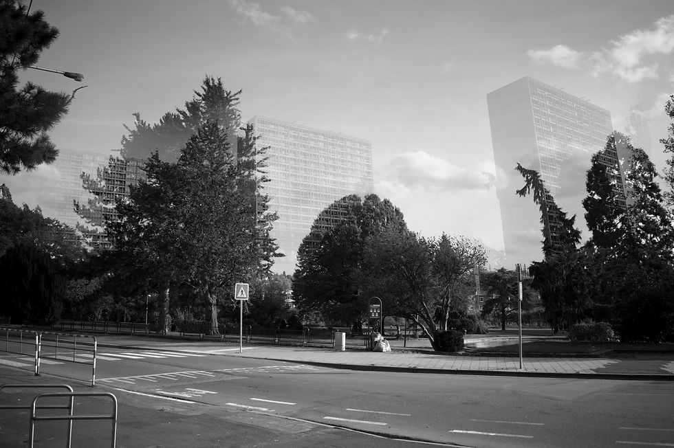 ADDO_Michel_Ph1A_BTL_10.jpg