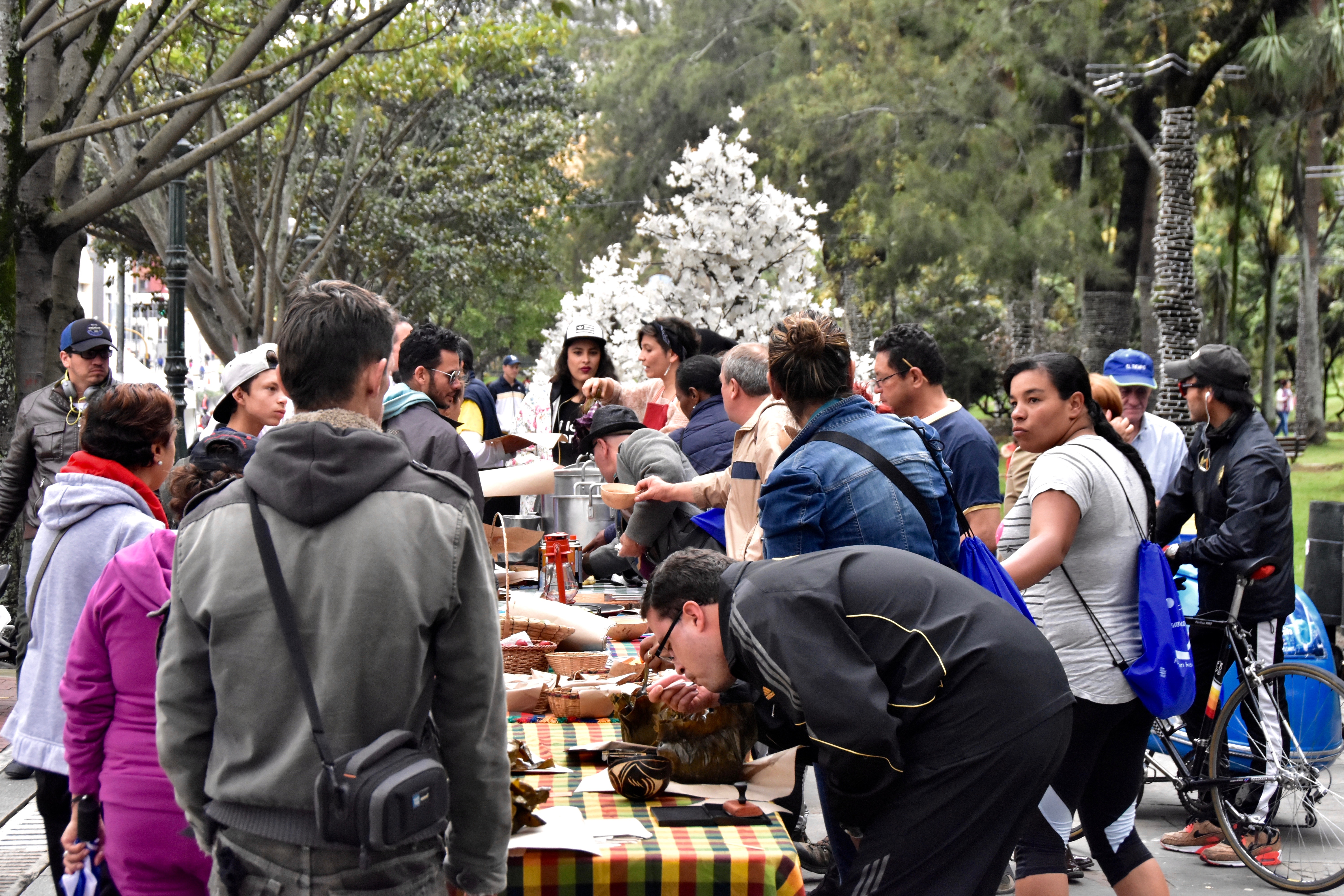 Picnic en el Parque Nacional.