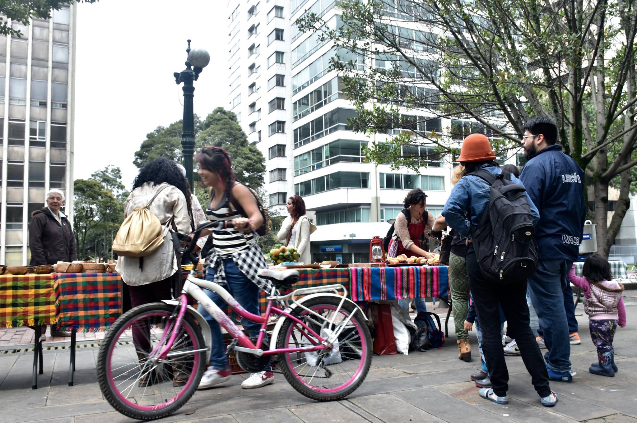 Picnic en el Parque Nacional.