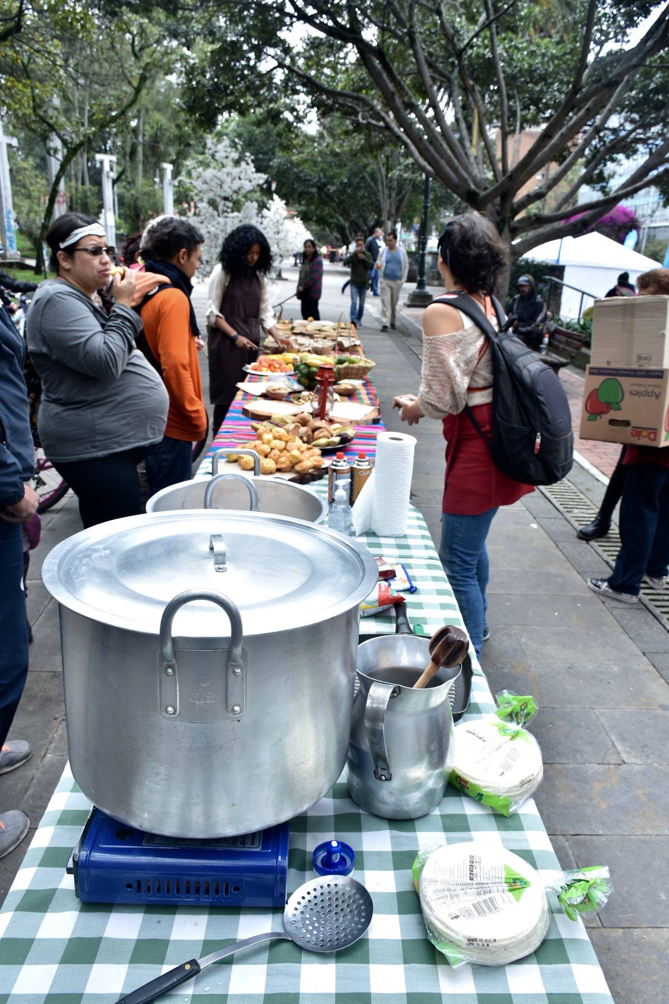 Picnic en el Parque Nacional.