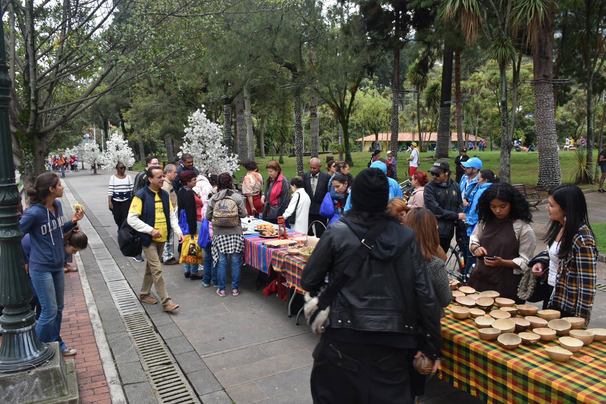 Picnic en el Parque Nacional.