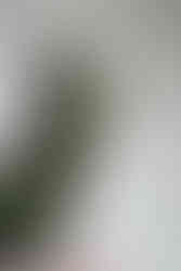 finished bronze detail