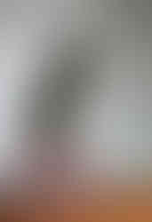 front view of 'in the eighth year' no 1