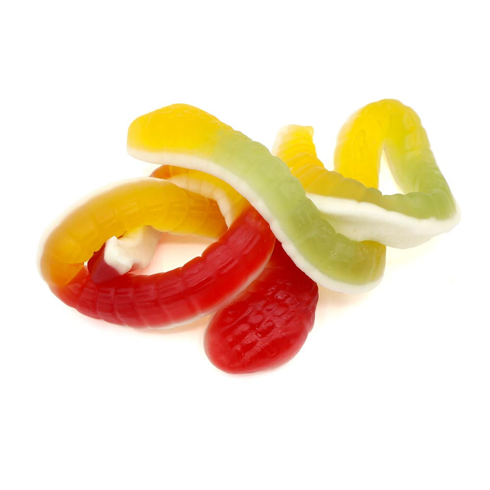 Kingsway Gummy Python