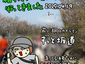 箱根ランフェス完走(完歩)
