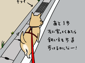 うちの犬