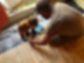 515439966_122202868676053425_3606938621846070414_n.jpg