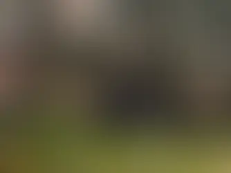 Proč je důležitější znát duchovní texty než meditovat?