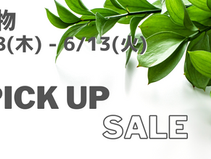 ピックアップセール「葉物」のご案内