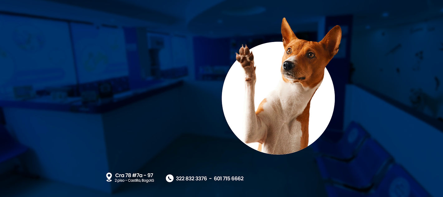 Banner fervet-03.jpg