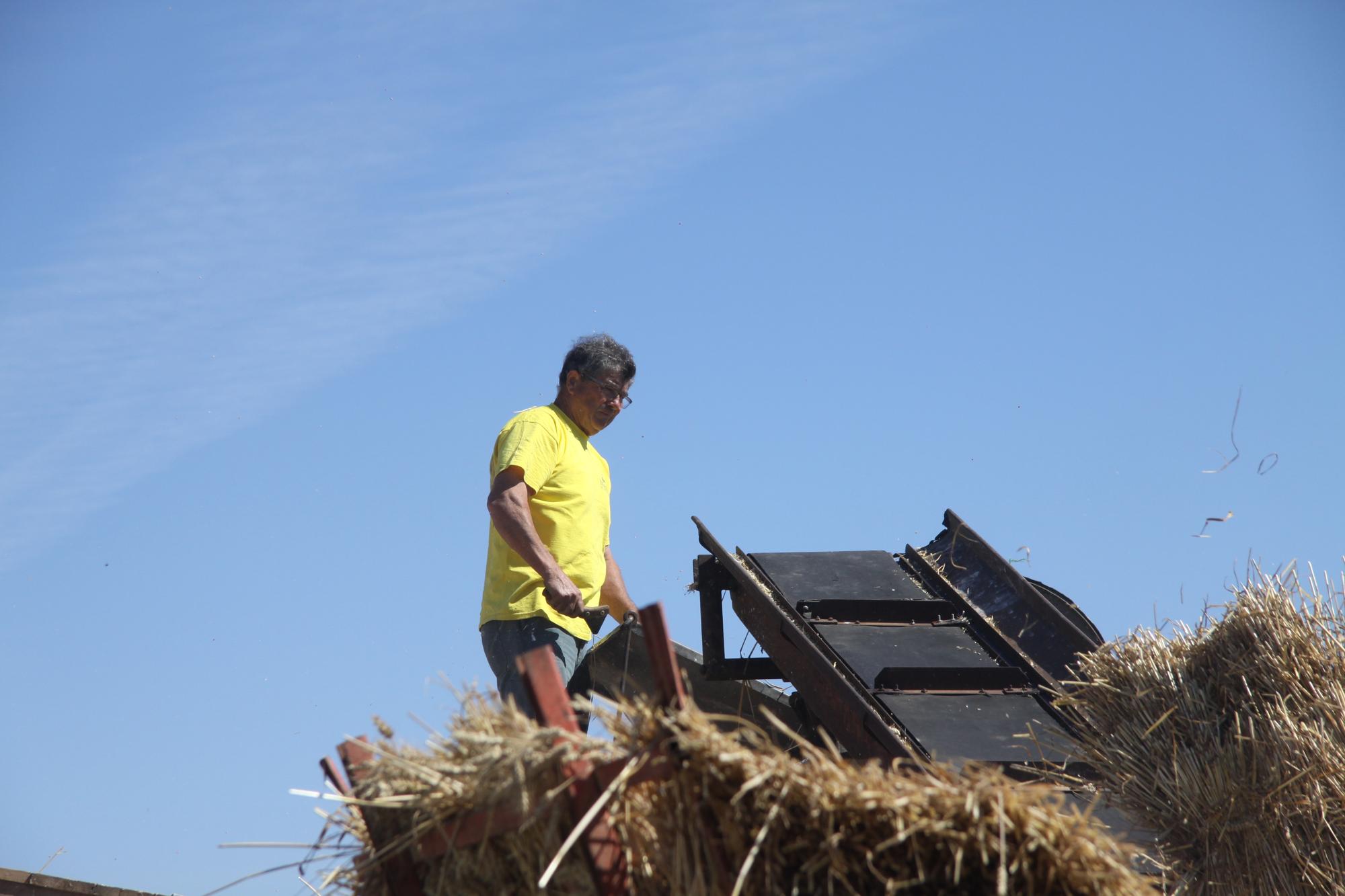 Défilé Battages Antigny 2015