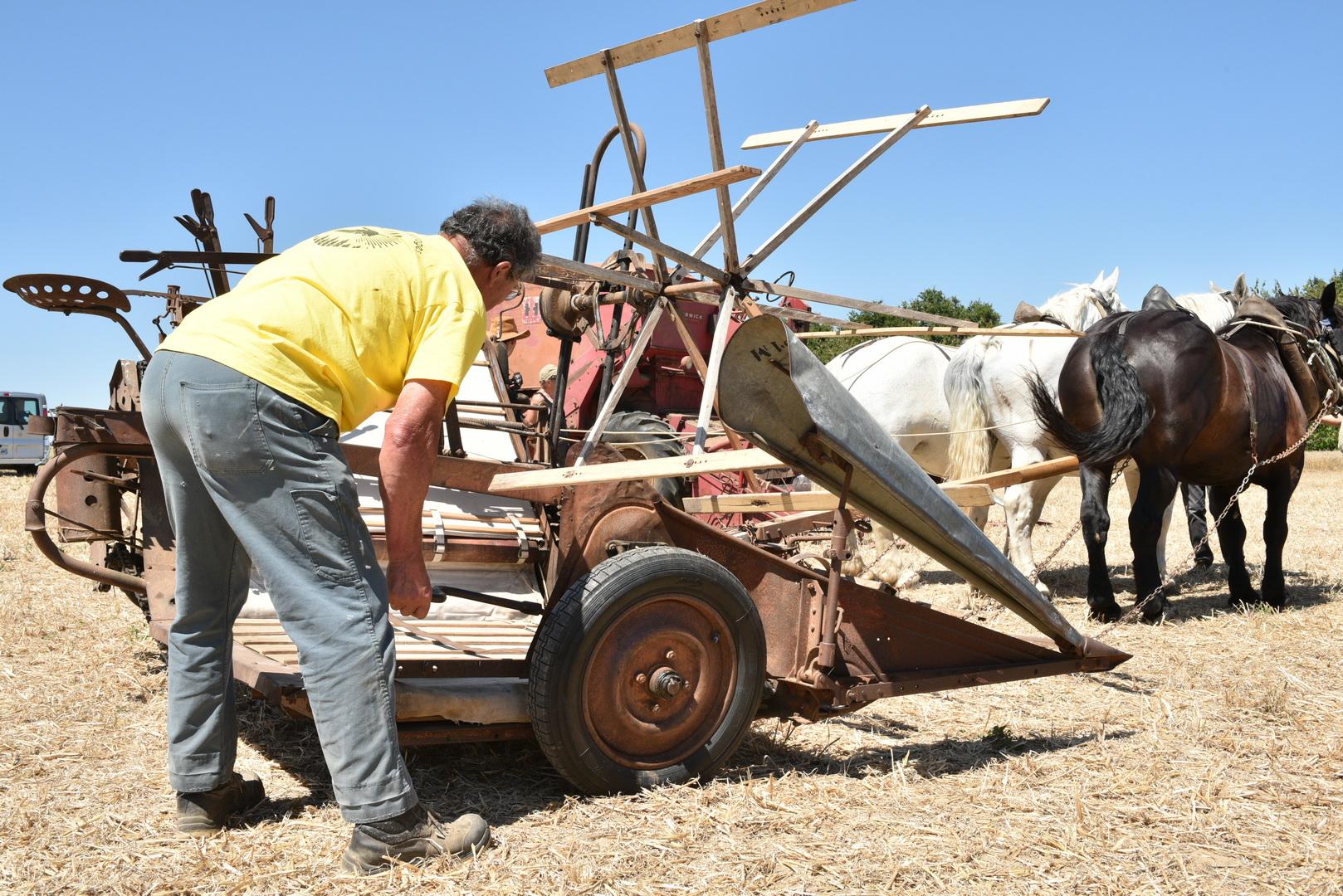 Défilé Battages Antigny 2015