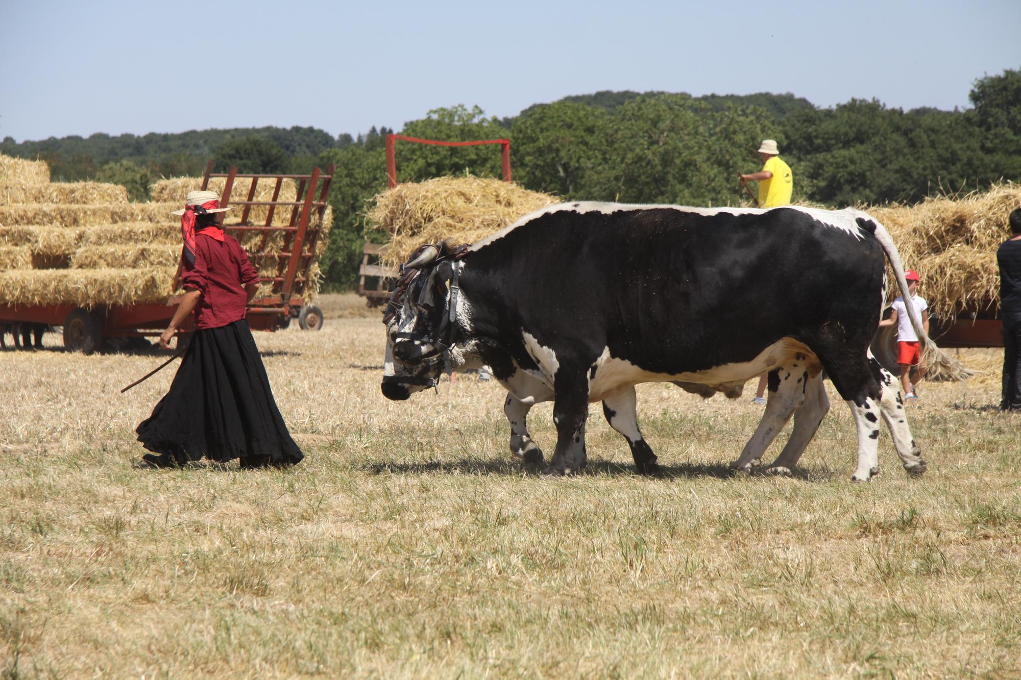 Défilé Battages Antigny 2015
