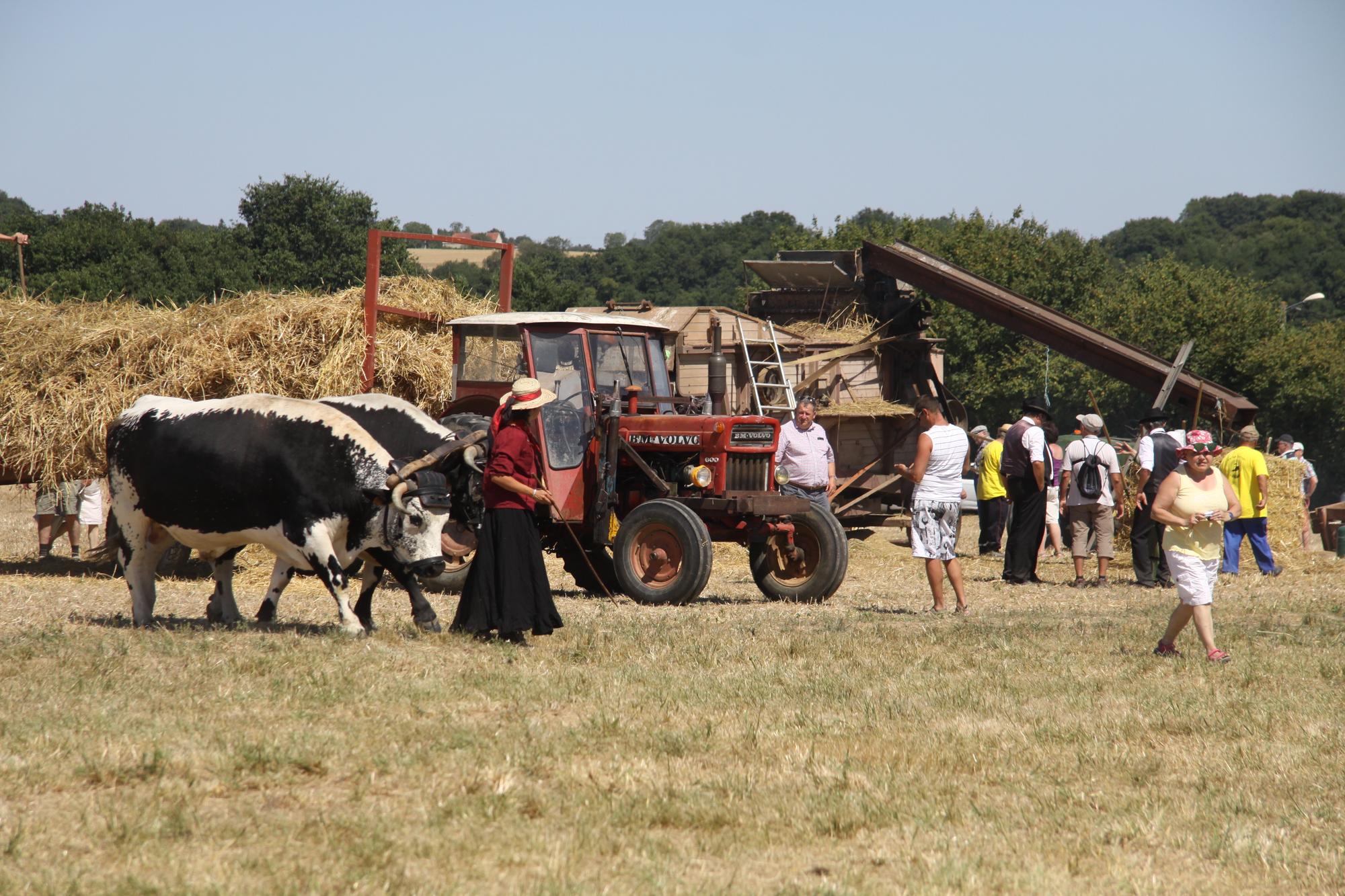 Défilé Battages Antigny 2015