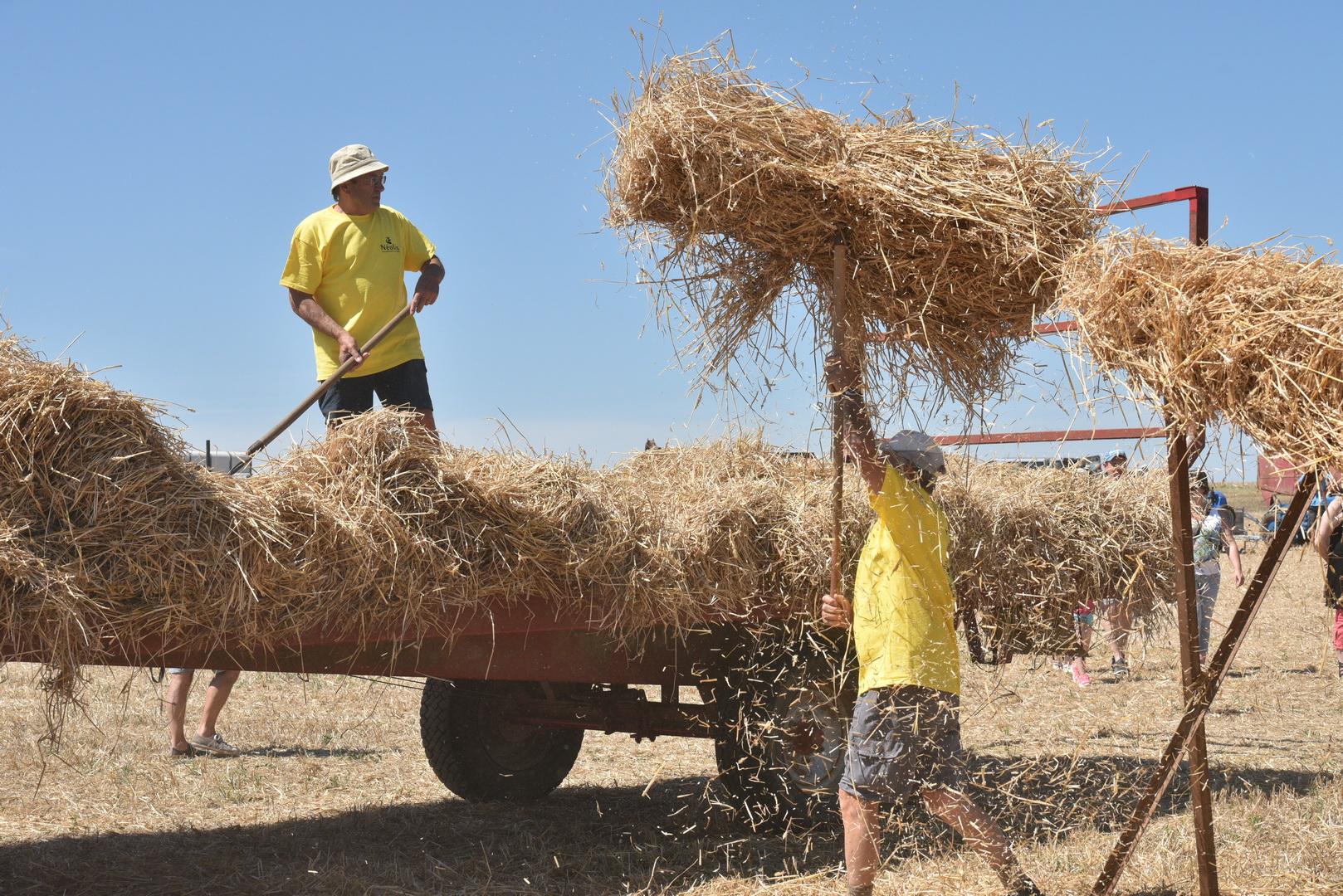 Défilé Battages Antigny 2015