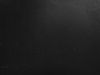 Main BG_edited.jpg