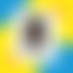 Best 3D Software For Beginners