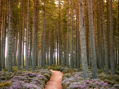 How Perfectionism Corrodes Creativity