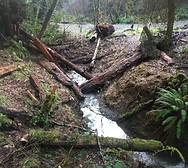 2018_MorrisonGulchRoadDecommLWDs287.2,po