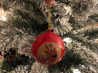 Christmas Cheer: What are families doing to celebrate the holidays?