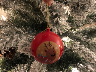 Christmas Cheer: What are families doing to celebrate the holidays?