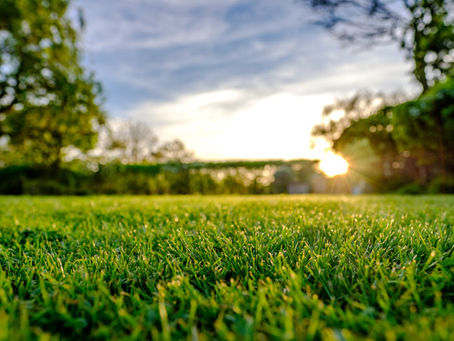 When should I do my First Cut in Winchester, VA?