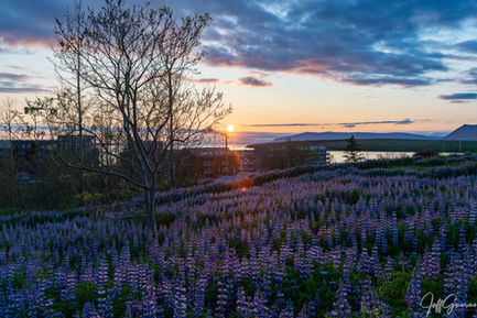 landscape shots-1-22