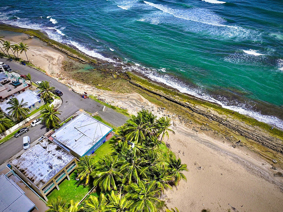 WhatsApp Image 2025-05-03 at 21.45.26 (2)2.jpeg